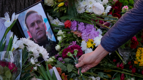 A man lays flowers beneath a framed photo of Alexei Navalny during protest in front of Russian embassy in Belgrade, Serbia on February 16, 2024.