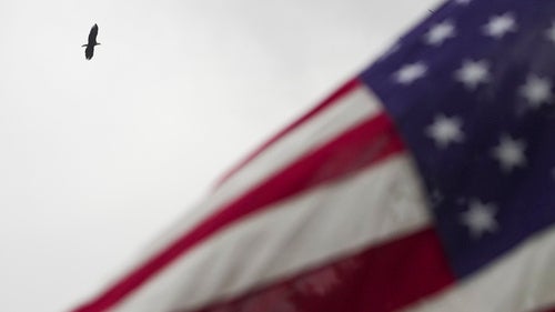 An eagle flies by an American flag whipping in the wind 