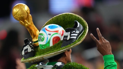 FIFA World Cup Attendees