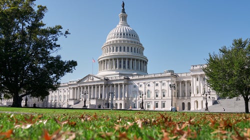 Fallen autumn leaves are seen on the lawn in front of the US Capitol