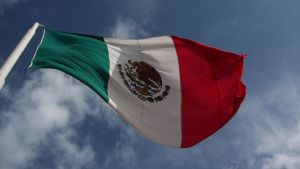 Flag of Mexico. 