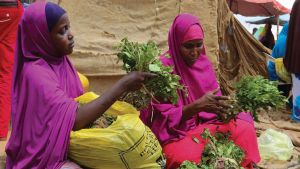 A woman and her daughter arrange branches of khat into small bundles in Somalia.