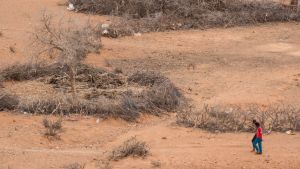 People walk in the distance across drylands