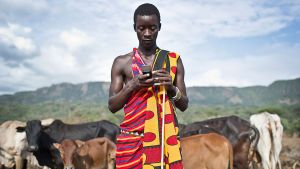 A man stands in a field of grazing cattle on a cell phone.