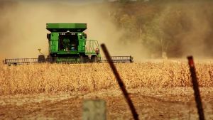 A tractor harvests a field