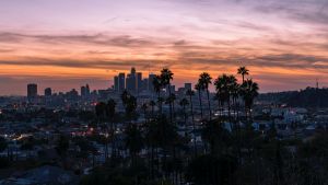 A view of the Los Angeles skyline, with silhouettes of palm trees in the foreground.