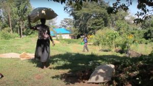 A woman carries a bag of corn on her head across a grass field