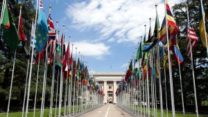 United Nations Flags