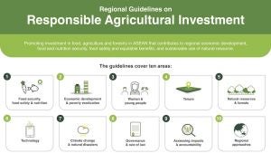 A graphic showing the Regional Guidelines on Responsible Agricultural Investment