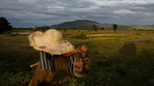 A farmer near fields in Cambodia.