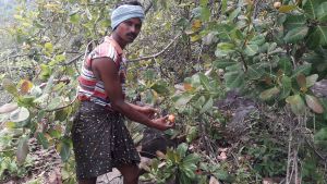 A farmer in the forest in India