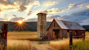 A barn in a field of grass, with a sun setting in the background