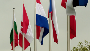 A few different country's flags on flagpoles in front of a gray sky
