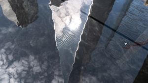 Water showing skyscrapers in reflecting pool of at the 9/11 memorial in NYC.