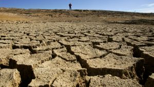 dry cracked earth in Australian drought