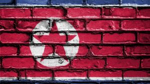 North Korean flag painted on a brick wall
