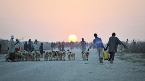 Two young boys carrying water walk down a road next to an IDP camp near the town of Jowhar, Somalia