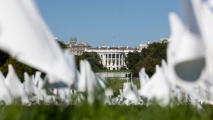 White flags on the White House lawn representing deaths from COVID-19.