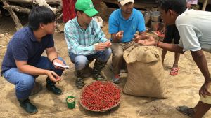Jagger Harvey, the director of the Feed the Future Innovation Lab for the Reduction of Post-Harvest Loss, and Jisang Yu assess chilies and peanuts for mycotoxin risk in Nepal.