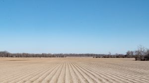 Mississippi farm field rows during the winter on January 29, 2022.