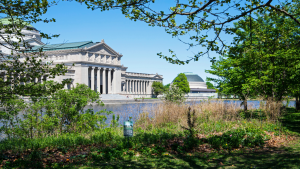 View of Chicago's Field Museum from trees and wetland area. 