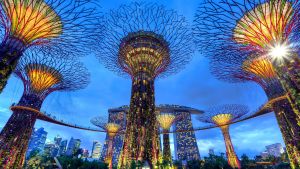 Structures of the Gardens by the Bay with skyscrapers in the background