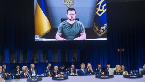 Ukrainian President Zelensky appears by video at NATO summit
