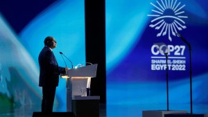 Egypt's President Abdel Fattah al-Sisi opens COP27