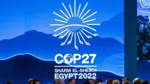 COP27 in Egypt