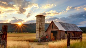 A farmhouse is pictured in front of a field of wheat as the sun sets behind it.