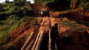 Road leading to Amazon rainforest area being mined. 