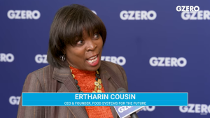 Screenshot of Ertharin Cousin speaking to interviewer in front of blue GZERO background.