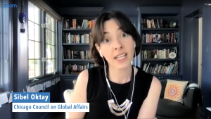 Screenshot of Sibel Oktay on VOA News with bookshelves behind her. 