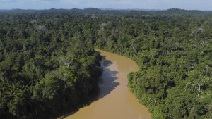 Brazilian Amazon