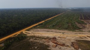 Amazon Rainforest logging