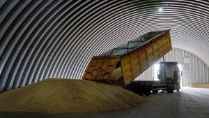 A dump track unloads grain in a granary in the village of Zghurivka, Ukraine.