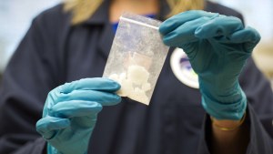 A bag of 4-fluoro isobutyryl fentanyl which was seized in a drug raid is displayed at the Drug Enforcement Administration 