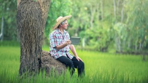 A farmer holds a tablet while sitting on tree root, observing his crops.
