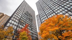 Two modern buildings with trees in the foreground