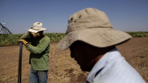 Construction worker Jose Arellano, left, wipes his face as Arellano and Juan Martinez install fence posts along a corn field in Happy, Texas.