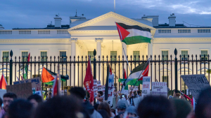 Palestinian Protests Outside White House