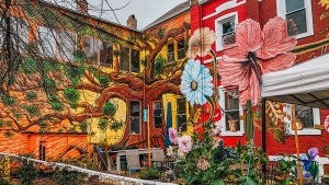 Exterior wall of a home with a colorful mural of flowers