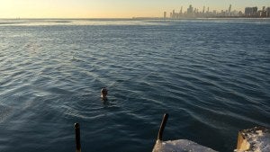 A person swims in Lake Michigan with the Chicago skyline in the background