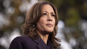 Kamala Harris delivers a concession speech after the 2024 presidential election