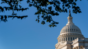 A view of the US Capitol Building with tree branches above it.