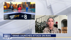 Cecile Shea joins Fox 32 Chicago via video