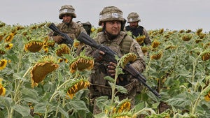 Ukrainian recruits practice military skills in sunflower field
