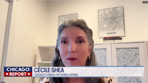 Cécile Shea speaking over Zoom on "The Chicago Report."