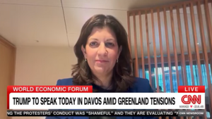 Leslie Vinjamuri speaking with CNN over video call.