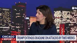 Leslie Vinjamuri speaks in the Fox 32 studio